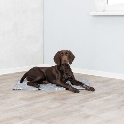 Hund liegt auf einer grauen Kühlmatte mit geometrischem Muster, geeignet für die Regulierung der Körpertemperatur.