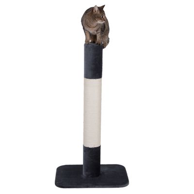 Cat tree with black base and sisal post, a cat sitting on top. Suitable for scratching and climbing.