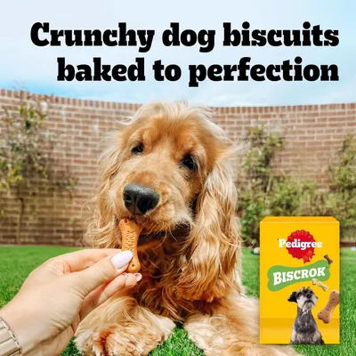 Pedigree Biscrok kutyakeksz 3 finom ízzel Pedigree Biscrok kutyakeksz 3 finom ízzel
