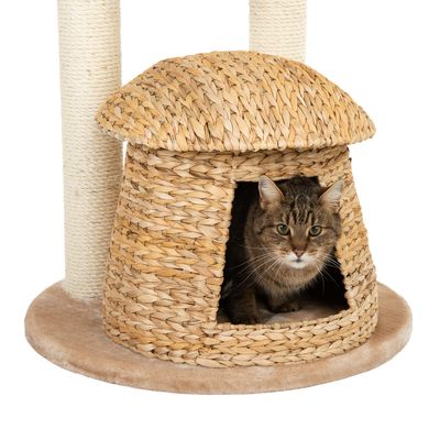 Cat tree with woven cat house made of natural material, cat sitting inside. Two scratching posts and padded base plate visible.