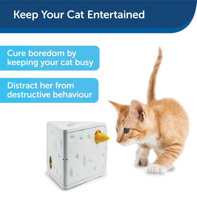 Kostka zabawka dla kotów do zapobiegania destrukcyjnym zachowaniom i nudzie. Tekst: „Keep Your Cat Entertained”, „Cure boredom by keeping your cat busy”.