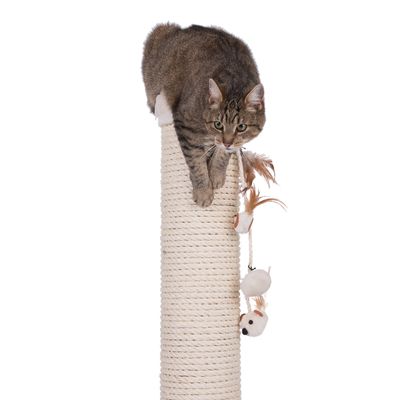 Sisal scratching post with hanging toy, a cat sitting on it.