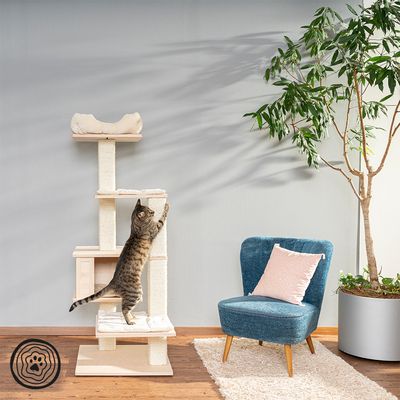 Cat tree made of light wood with multiple levels and resting areas, cat stretching on it. Living room with blue armchair, carpet and plant in the background.