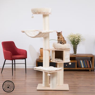 Cat tree with multiple levels, hammock and cave made of light wood and beige fabric. Bengal cat sitting on a padded platform. Living room furniture in the background.