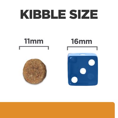 Kibble Size felirat, balra 11 mm-es táp szemcse, jobbra 16 mm-es kék dobókocka méretösszehasonlításként.