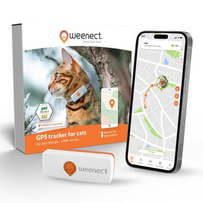 Weenect Pet XS GPS nyomkövető macskáknak