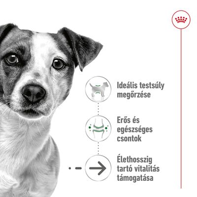 Ideális testsúly megőrzése, erős és egészséges csontok, élethosszig tartó vitalitás támogatása – látható szöveges kiemelések kutya kép mellett.