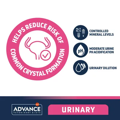 Angol szöveg: Helps reduce risk of common crystal formation, controlled mineral levels, moderate urine pH acidification, urinary dilution. Advance Veterinary Diets Urinary. Angol szöveg: Helps reduce risk of common crystal formation, controlled mineral levels, moderate urine pH acidification, urinary dilution. Advance Veterinary Diets Urinary.