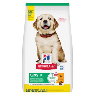 Hill’s Science Plan Puppy <1 Large with Chicken