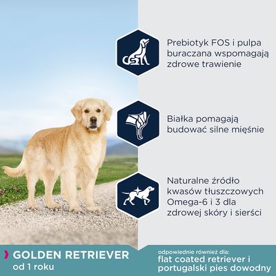 Golden Retriever od 1 roku. Prebiotyk FOS i pulpa buraczana wspomagają trawienie, białka budują mięśnie, kwasy Omega-6 i 3 dla skóry i sierści. Odpowiednie także dla flat coated retriever i portugalski pies dowodny.