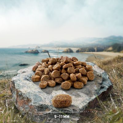 Purizon Original, kaczka z rybą – bez zbóż