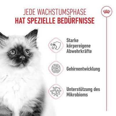 Royal Canin Kitten