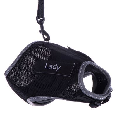 Fekete kutyahám, rajta „Lady” felirattal. Sarokban zöld mezőben: Csak nálunk!