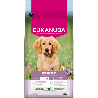 Eukanuba Premium Nutrition Puppy Large & Giant Breed, jagnięcina i ryż