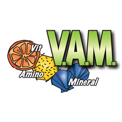 V.A.M. vitaminokkal, aminosavakkal és ásványi anyagokkal. Narancs, sárga kocka és kék kristályok illusztrációja.
