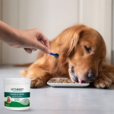 Vet's Best Plaque & Tartar Dental Powder, 90g. Proszek posypywany na karmę dla psa niebieską miarką. Składniki naturalne, wspomaga higienę jamy ustnej.