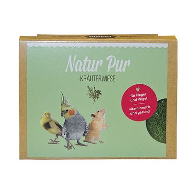 Hierba para gatos verde en cuenco blanco con borde rojo y asa de madera, adecuada para gatos para apoyar la digestión.