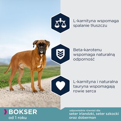 Bokser od 1 roku. L-karnityna wspomaga spalanie tłuszczu, beta-karotenu wspomaga naturalną odporność, L-karnityna i naturalna tauryna wspomagają zdrowie serca. Odpowiednie także dla: seter irlandzki, seter szkocki, doberman.
