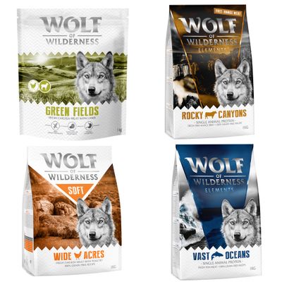 Wolf of Wilderness kutyatáp csomagok: Blue, Sunny, Wild, Green Fields. 100% grain-free recipe. Próbálja ki! felirat narancssárga körben.