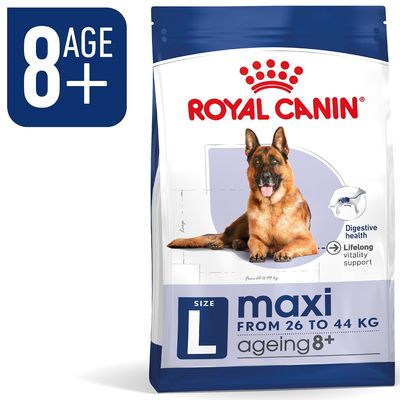 Royal Canin maxi L ageing 8+ kutyatáp, 26–44 kg-os nagytestű, 8 év feletti kutyáknak. Digestive health, lifelong vitality support feliratok láthatók a csomagoláson.