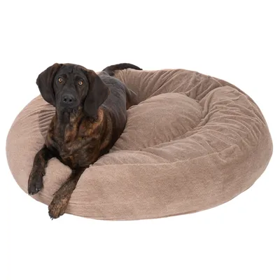 Hund liegt auf einem braunen, gepolsterten Hundebett mit ovaler Form. Hund liegt auf einem braunen, gepolsterten Hundebett mit ovaler Form.