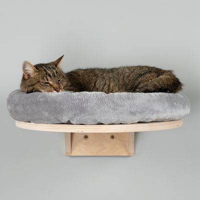 Wall-mounted cat lounger made of wood with grey padded cushion. Cat is lying relaxed on it.