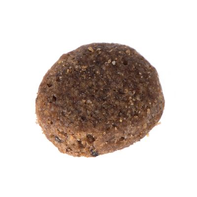 Primer plano de una croqueta de pienso seco marrón y granulada con superficie irregular.