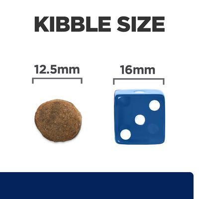 Krokett méret: balra egy 12,5 mm átmérőjű krokett, jobbra egy 16 mm-es kék dobókocka összehasonlításként. Felirat: KIBBLE SIZE.