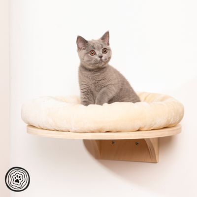 Wooden cat bed with beige padded edge, mounted on the wall. Grey cat sitting in the bed.