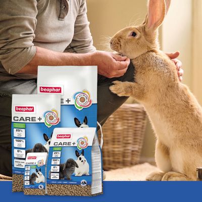 Beaphar Care+ nyúltáp, All-in-One receptúra, 25% fehérje, 100% extrudált, cukor nélkül. Csomagolás nyúl képekkel és ápolási tájékoztatóval.