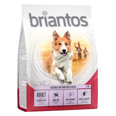 Briantos Adult salmón y arroz, pelaje brillante, alta tolerancia, fabricado en Alemania, 1 kg.