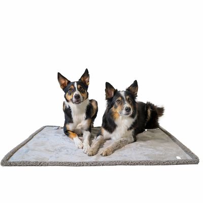 Zwei Hunde liegen auf einer grauen, flauschigen Hundedecke mit Rand.