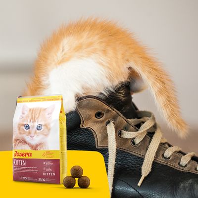 Josera Kitten suha hrana za mlade mačke s lososovim uljem, lako probavljiva, protiv stvaranja kuglica dlake, za kožu i dlaku, omjer proteina/masti 35/22, 92% životinjskih bjelančevina.