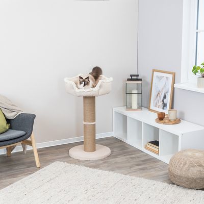 Cat tree with beige plush bed and sisal post, cat lying in bed. Suitable for modern living spaces.