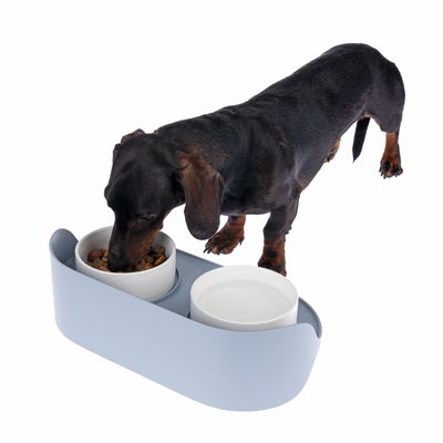Hund frisst aus einem Futternapf-Set mit zwei Schalen, eine für Futter und eine für Wasser, in einer blauen Halterung.