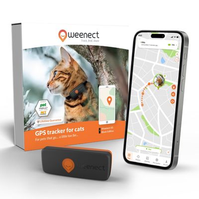 Weenect Pet XS GPS nyomkövető macskáknak