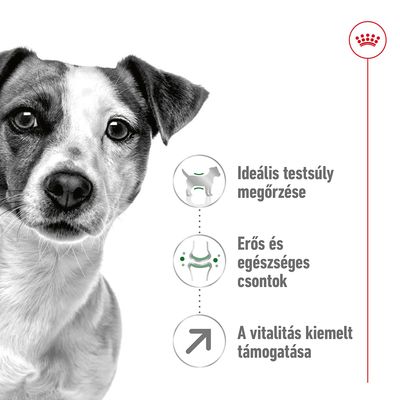 Ideális testsúly megőrzése, erős és egészséges csontok, a vitalitás kiemelt támogatása – három ikon kutyával, ízülettel és nyíllal.
