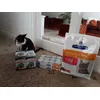 We love Hills and royal canin