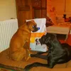 Luca y Cala