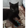 Batman w SPA