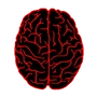 mrvym profile