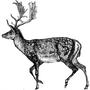 peter245 profile