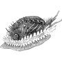 meggieton profile