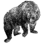 samlongbottom profile