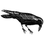 pigos profile