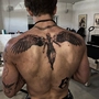 signor_p profile