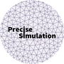 precise-simulation profile