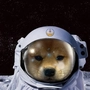 canu0205 profile