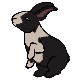 jeffque profile