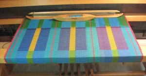 rep weave 1 Irises in Rep Weave on Loom